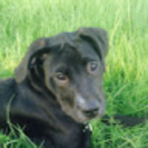 Meet your Posher, Anna-kate